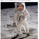 Musekatt