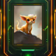 Trader_Of_The_Day