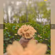 Artless_Atik