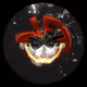 notorious_nft