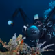 Underwater_world