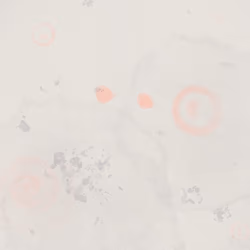 OpenSea banner for @us