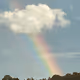 rainbowlive