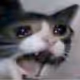 sadcat1