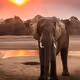 Elephanteee
