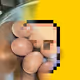 0xMegg