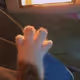 Unnamed______________1
