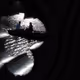 TheSci-FiWriter
