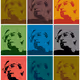 0xf2f375df6004df4470d683b8f8fa03820cc72e12