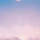 skytemple