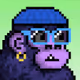Blue-Wampa