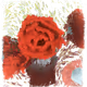 ZDOH