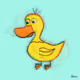 XOXODUCK
