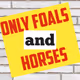 Only-Foals-And-Horses