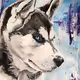 Huskie