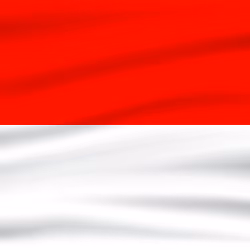 OpenSea profile picture for @Indonesia
