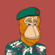 TheOrangutans