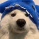 lofiplayer