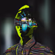 CryptoDiverse