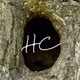 HollowCreator
