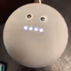 GoogleBot