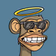 TheBoringApes