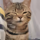 bladeeiscute