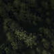 dgyzff77817