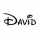 davidbrandongeeting