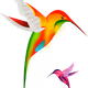 Little-bird