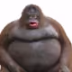 gman49