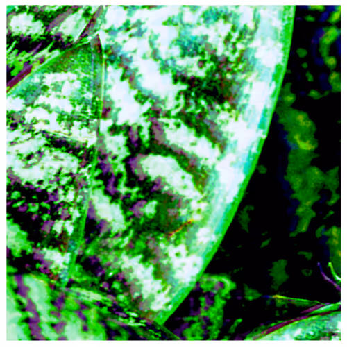 OpenSea banner for @Vinegar