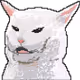 CrytoMemeCat