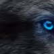 IECwolves