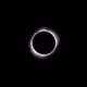 Apollonian