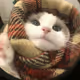 EIKxi