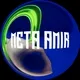 MetaAmir