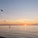 OAKVILLE