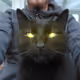 Myown_Tardis