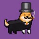 dapper_dog_jin