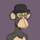 ape-24