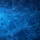 CryptoBoss09