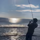 GriffTheFish