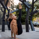 Yoginic