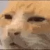 dzylol
