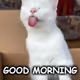 BiyuHD
