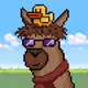 Kingtrip