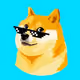 DOGE2THEMOONGOOO