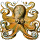 octobitcoin