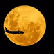 RareMoon
